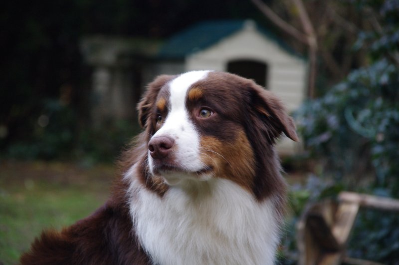 Enzo de l'Oeil du Cyclone